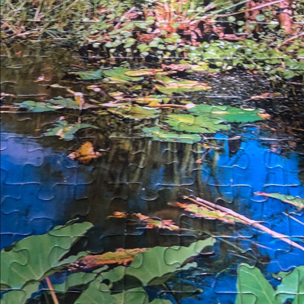 Meet your Posher, Maranda